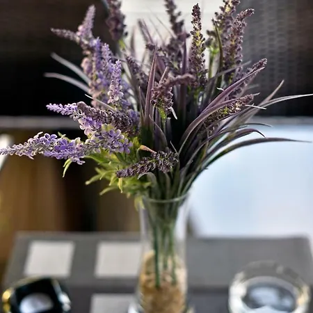 Üdülőpark Mobile Meeli Biograd na Moru