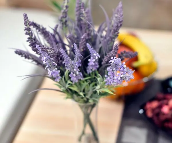 Mobile Meeli ホリデーパーク 4*