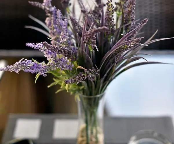 Holiday park Mobile Meeli Biograd Na Moru