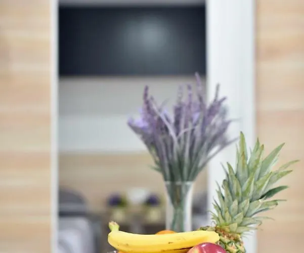 Mobile Meeli Holiday park 4*